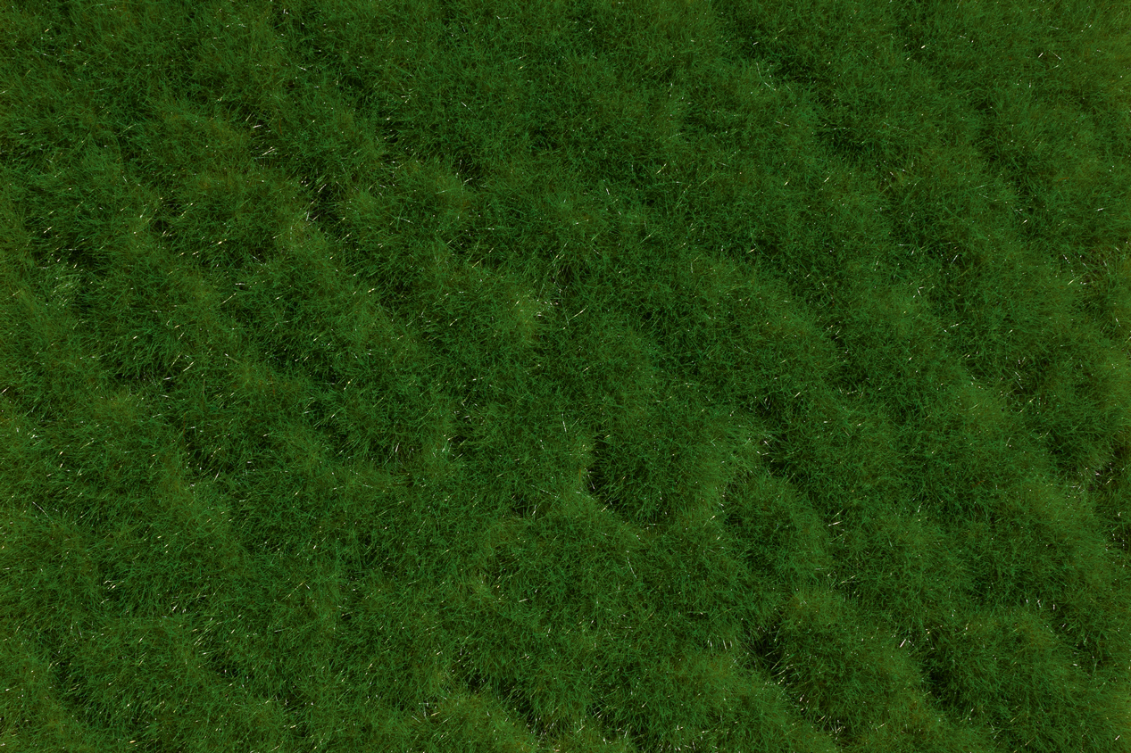 Grasbüschel Frühling 2-10 mm