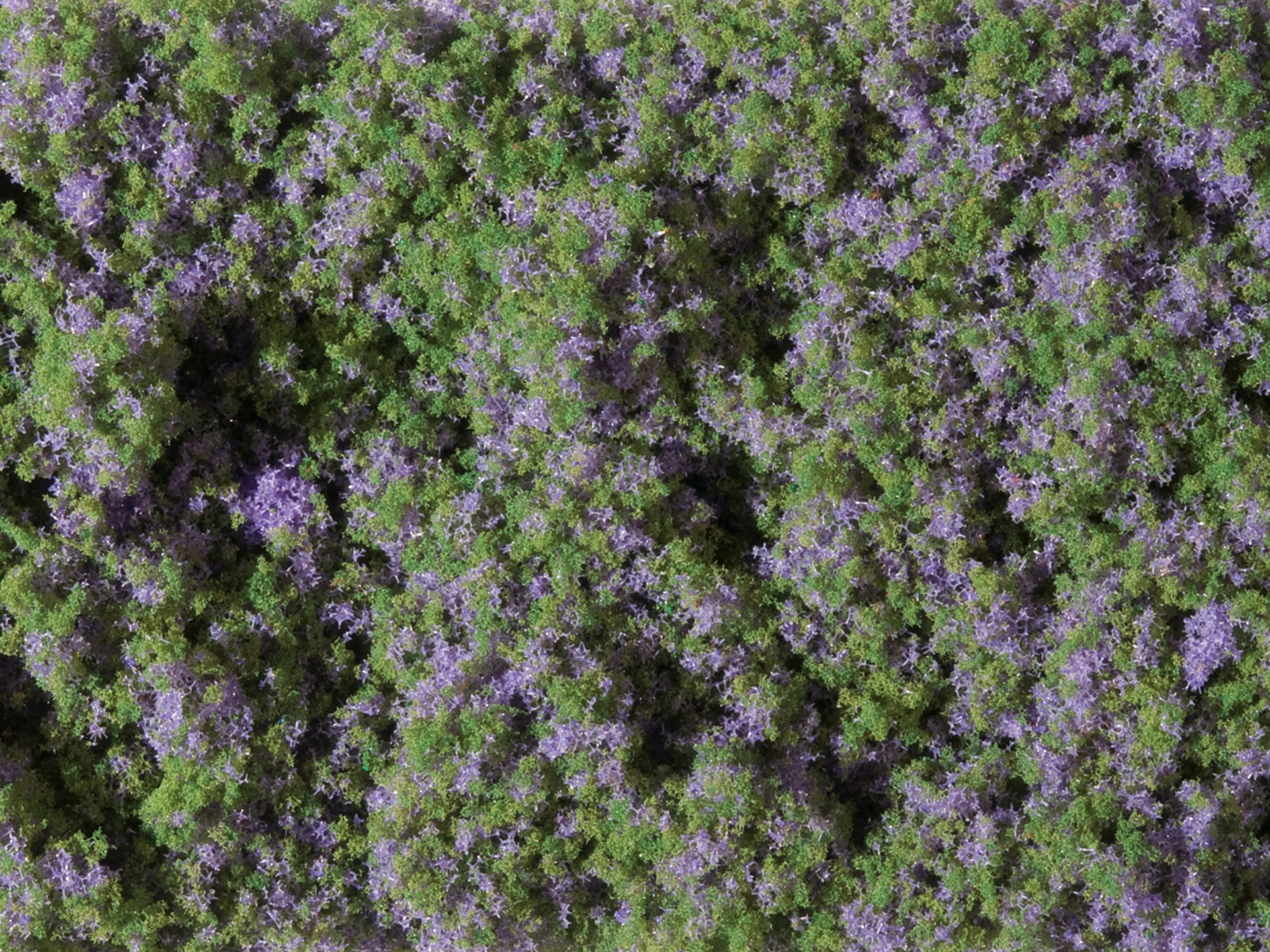 Blumenmatte violett