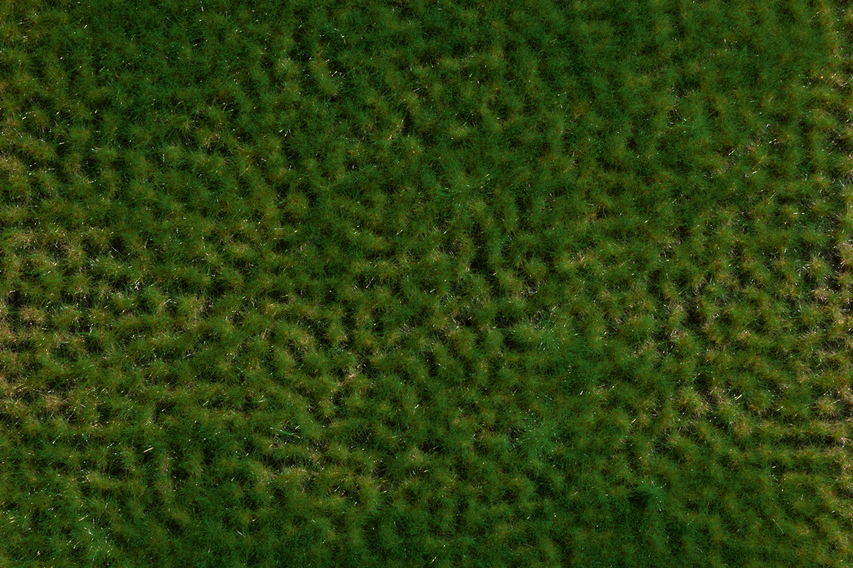 Grasbüschel Frühling 2-6 mm